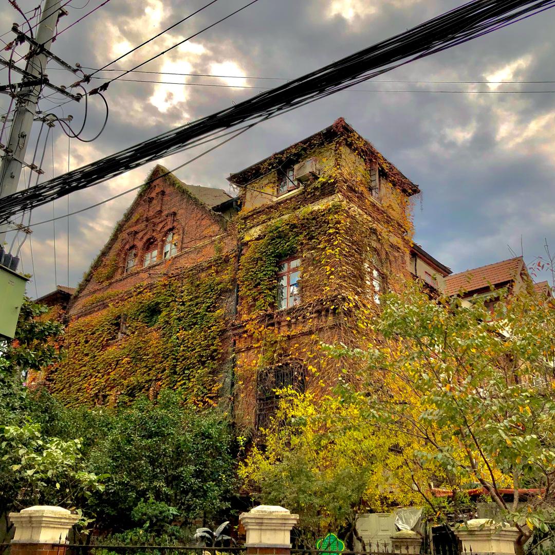 我是一坨奥利给