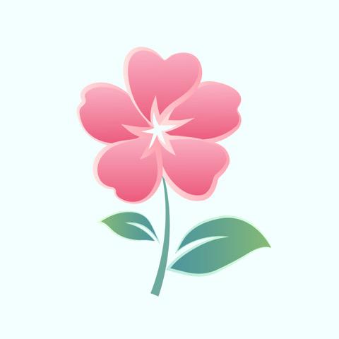 🌈112233445566778899