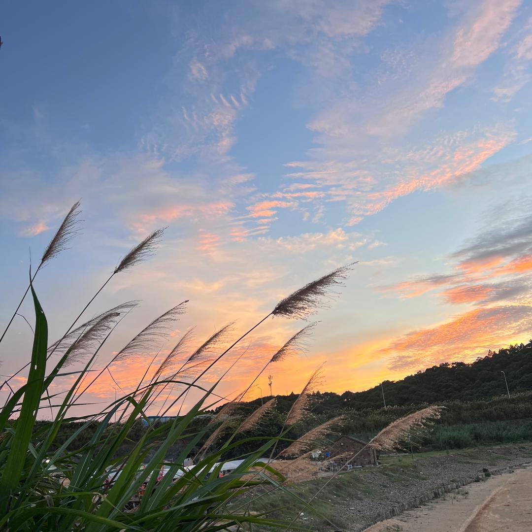 旺旺小金猪（送外卖版）