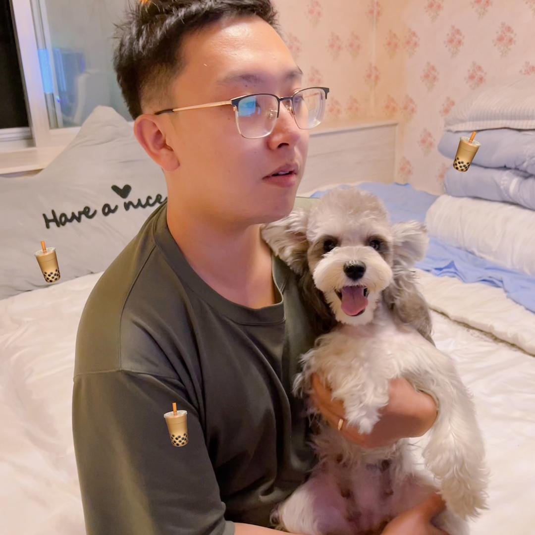 沈阳胖球宠物小东