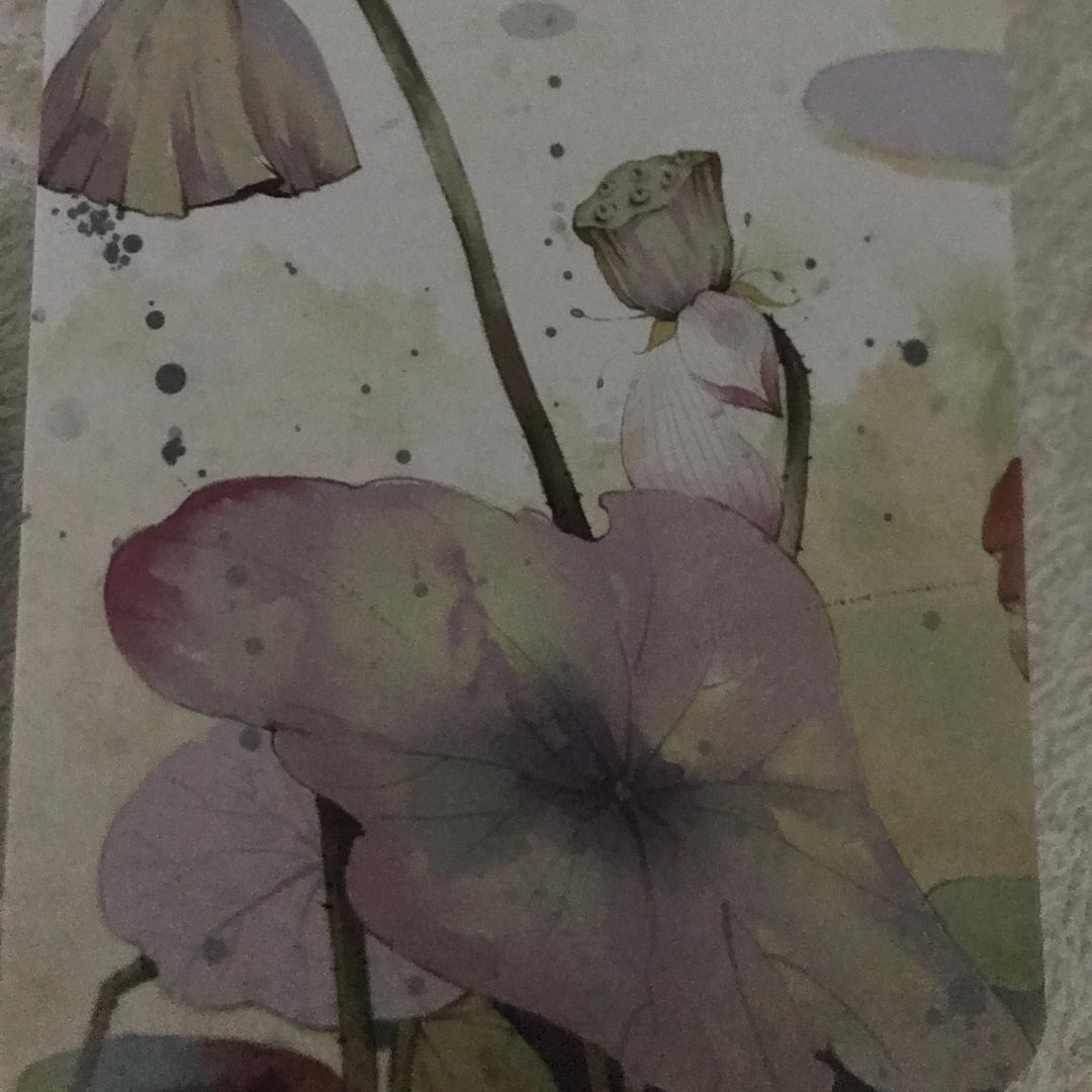 欢儿🌹