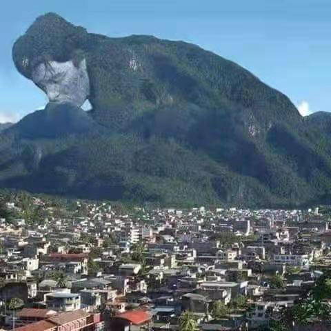 运星