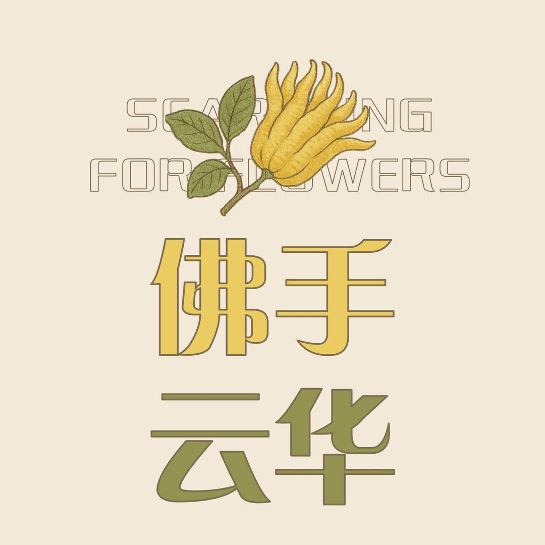 佛手云华