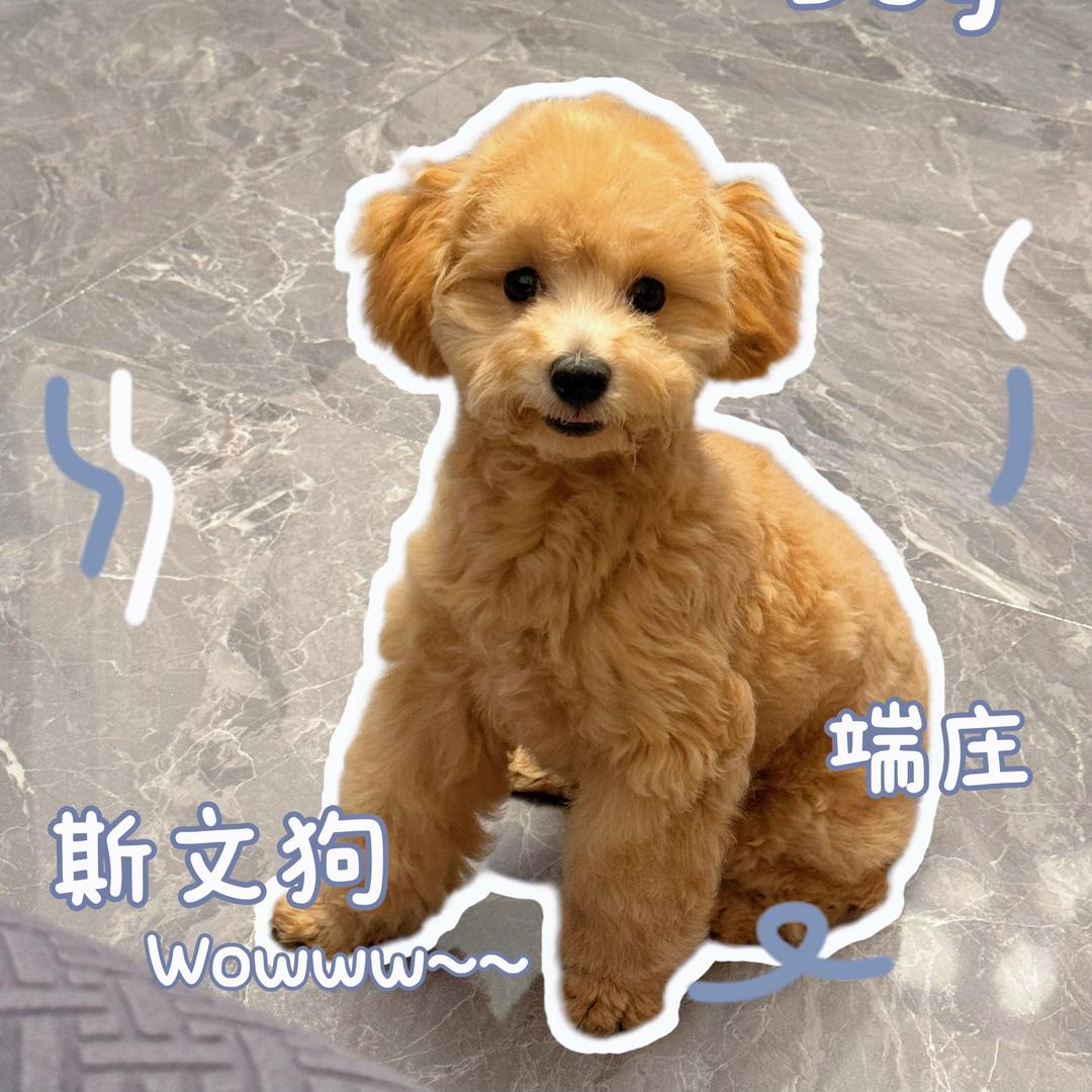 小李🍒