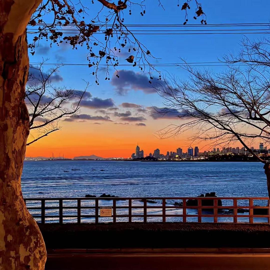 山橘月好物分享