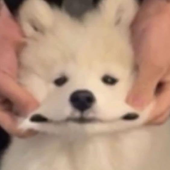 🌈小洋的旅行日记