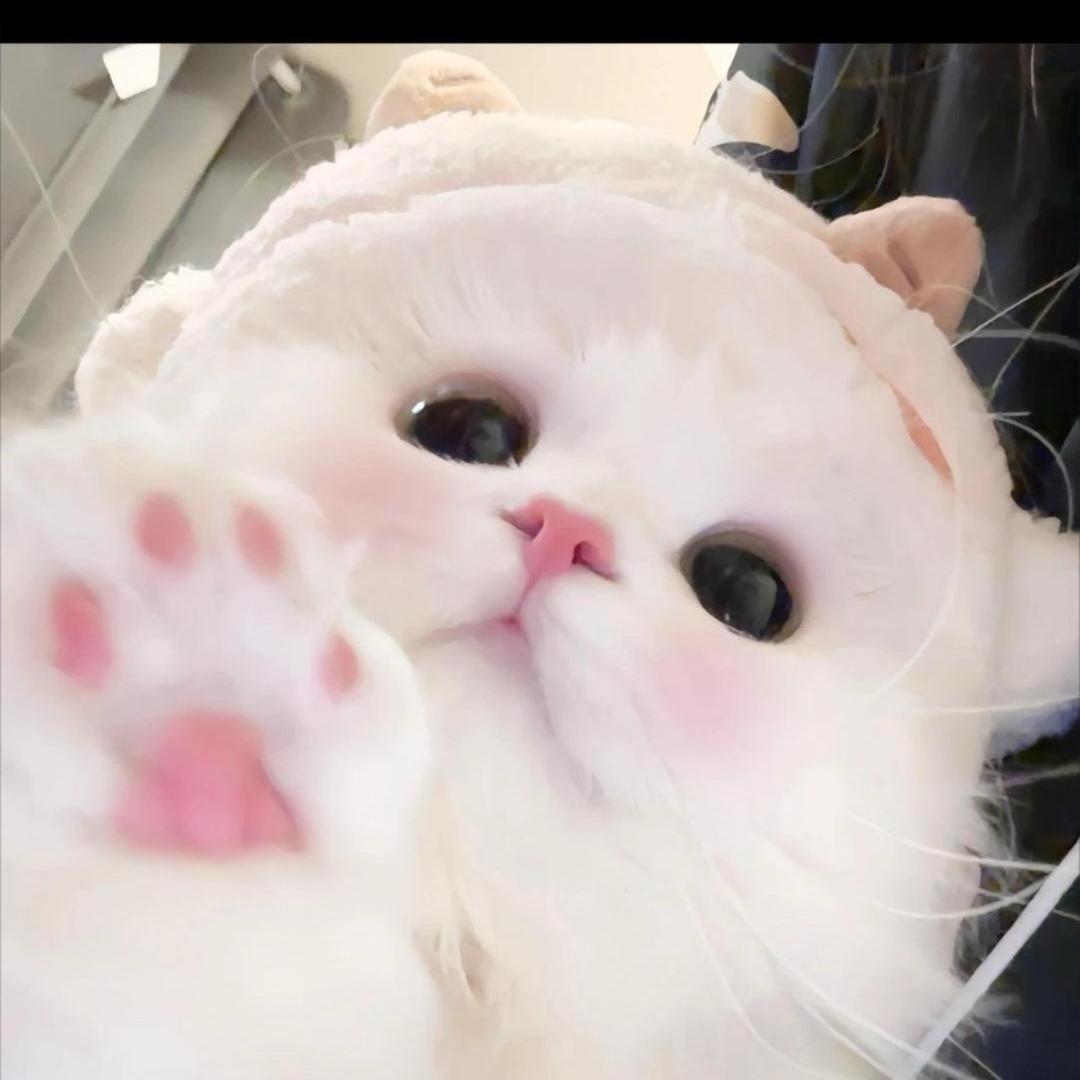 不是xx