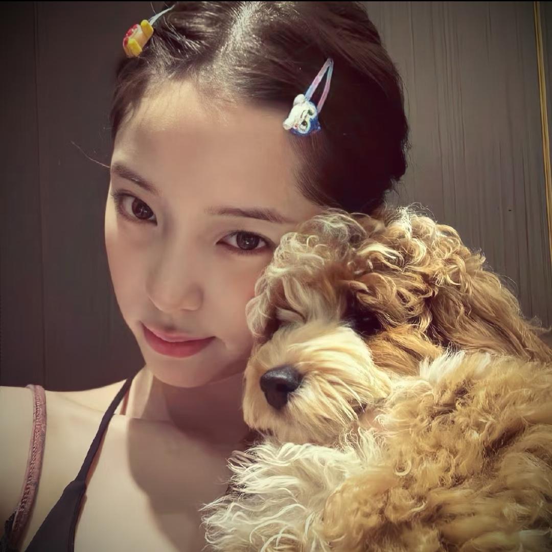 闪闪惹人爱✨