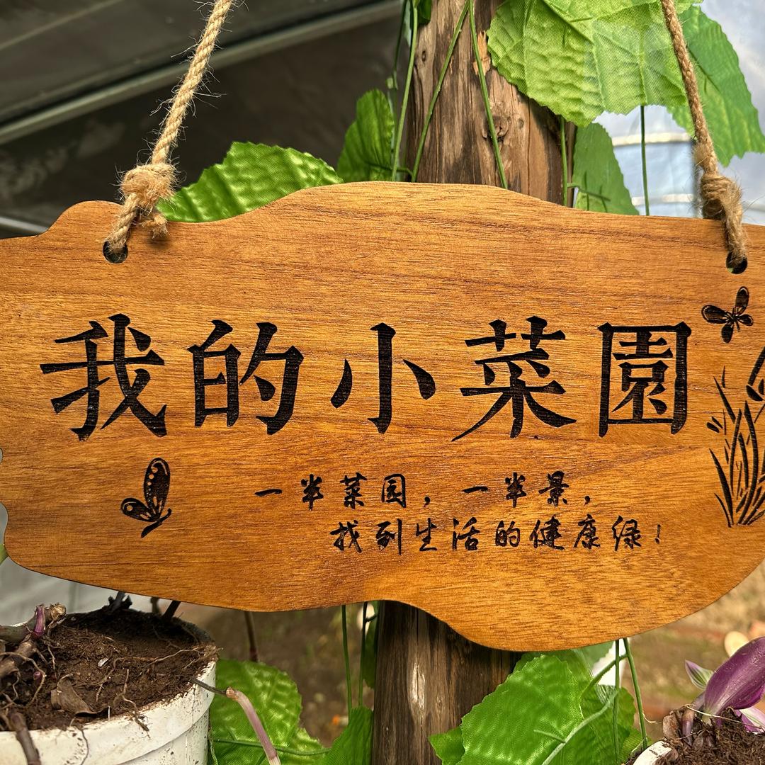 半亩方园拾青梦