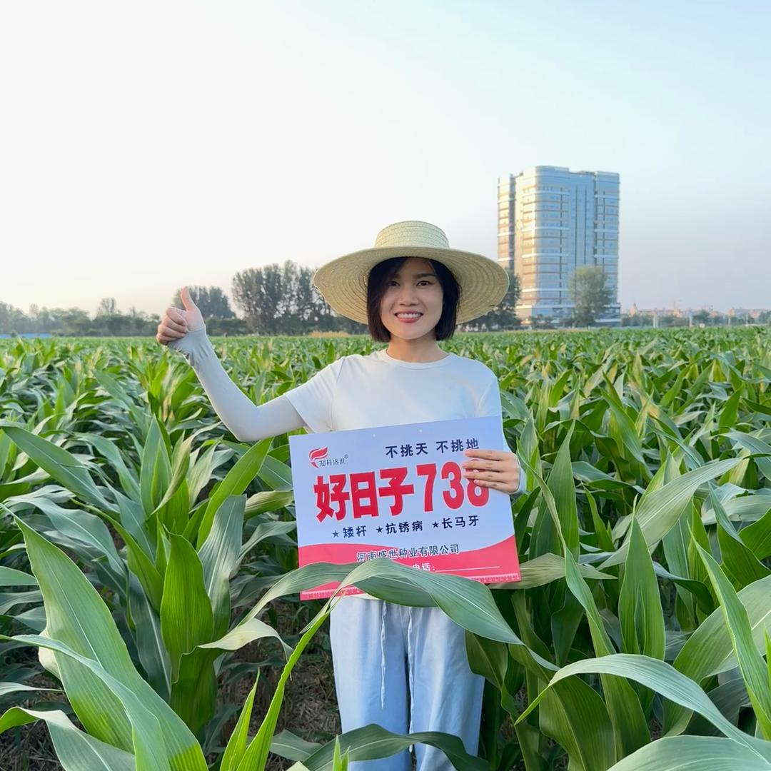 盛世种业-助农