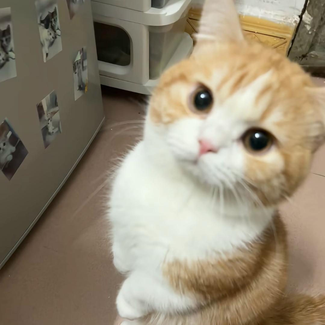 R。