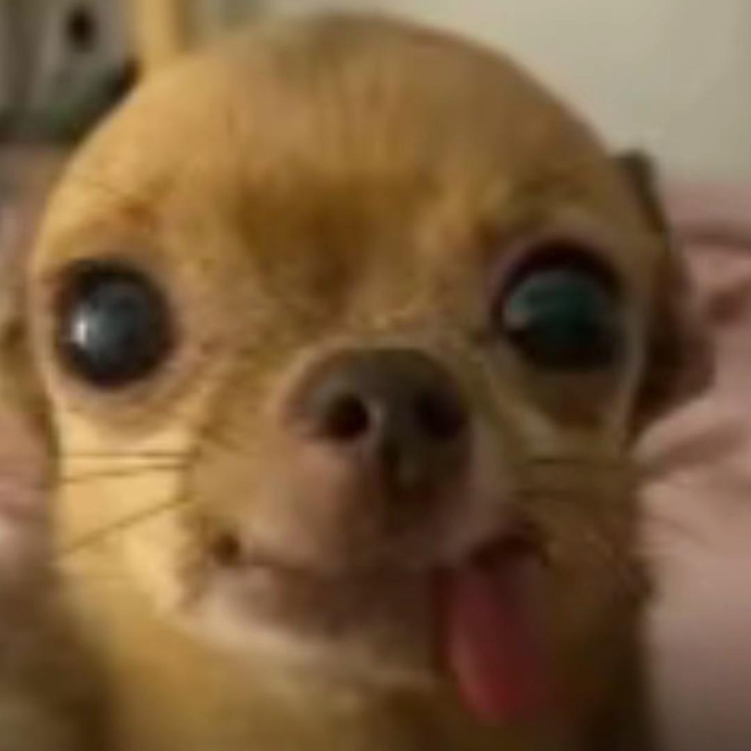 我每天都好幸福好不好