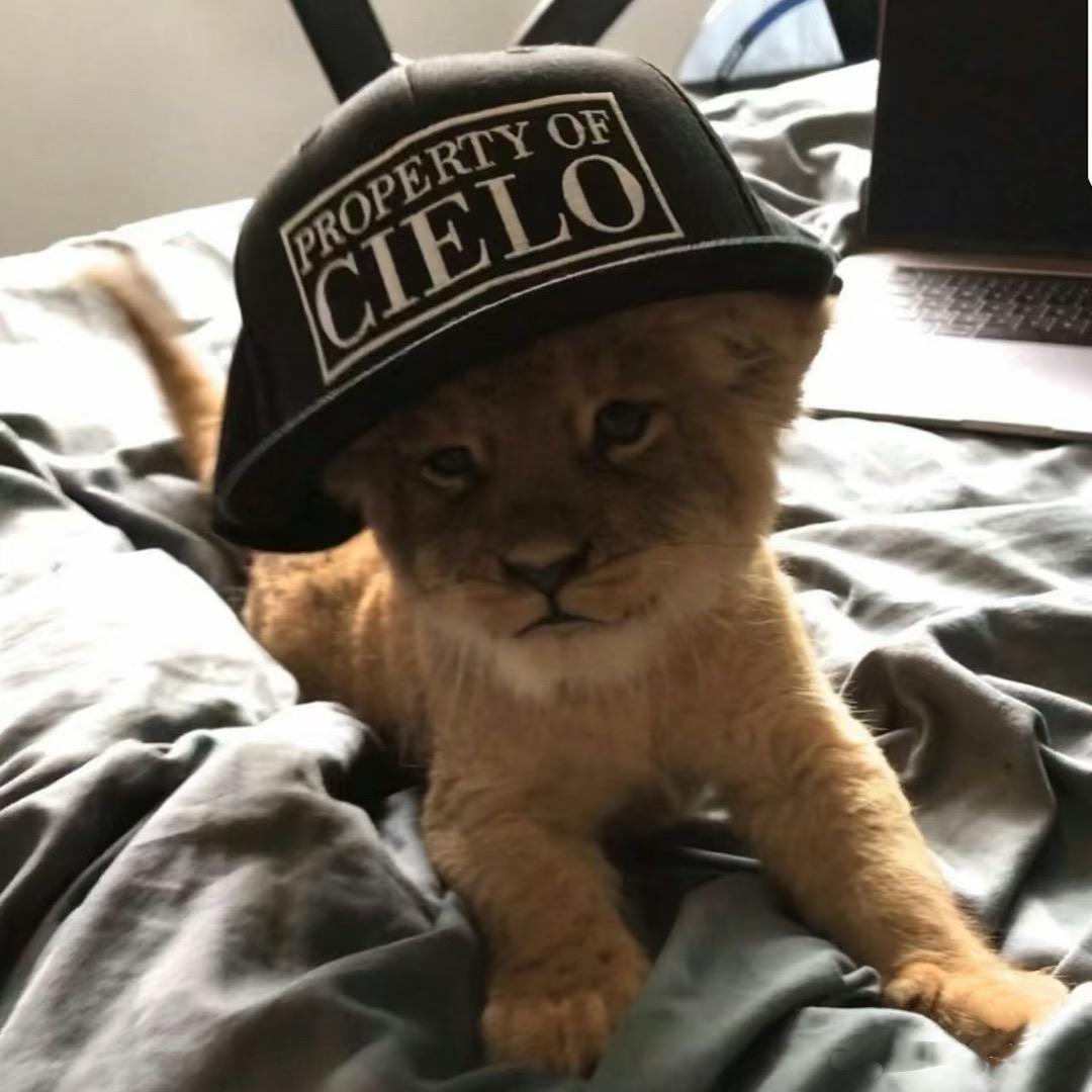 我要一份烤地瓜