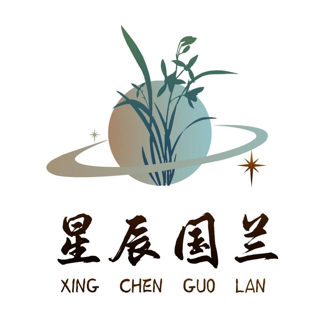 星辰国兰