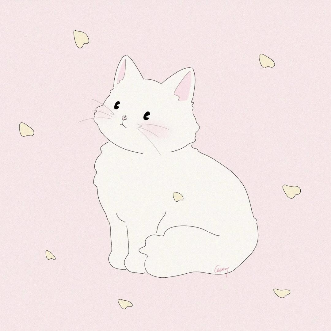 ʚ🐾ɞ