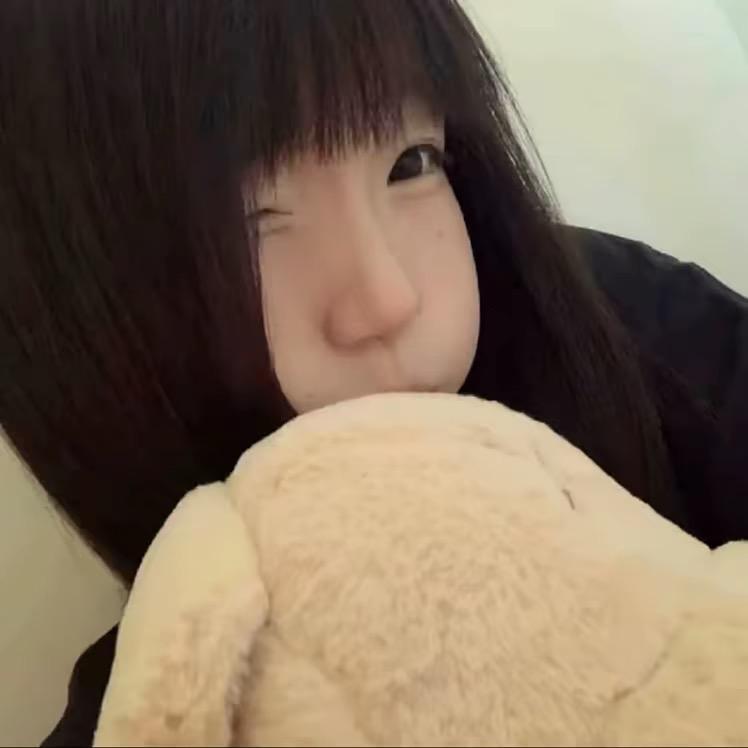 呆猫