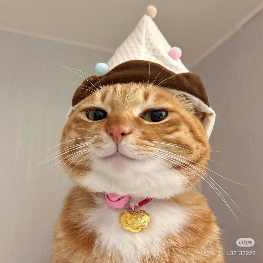 圆圆猫 宠粮