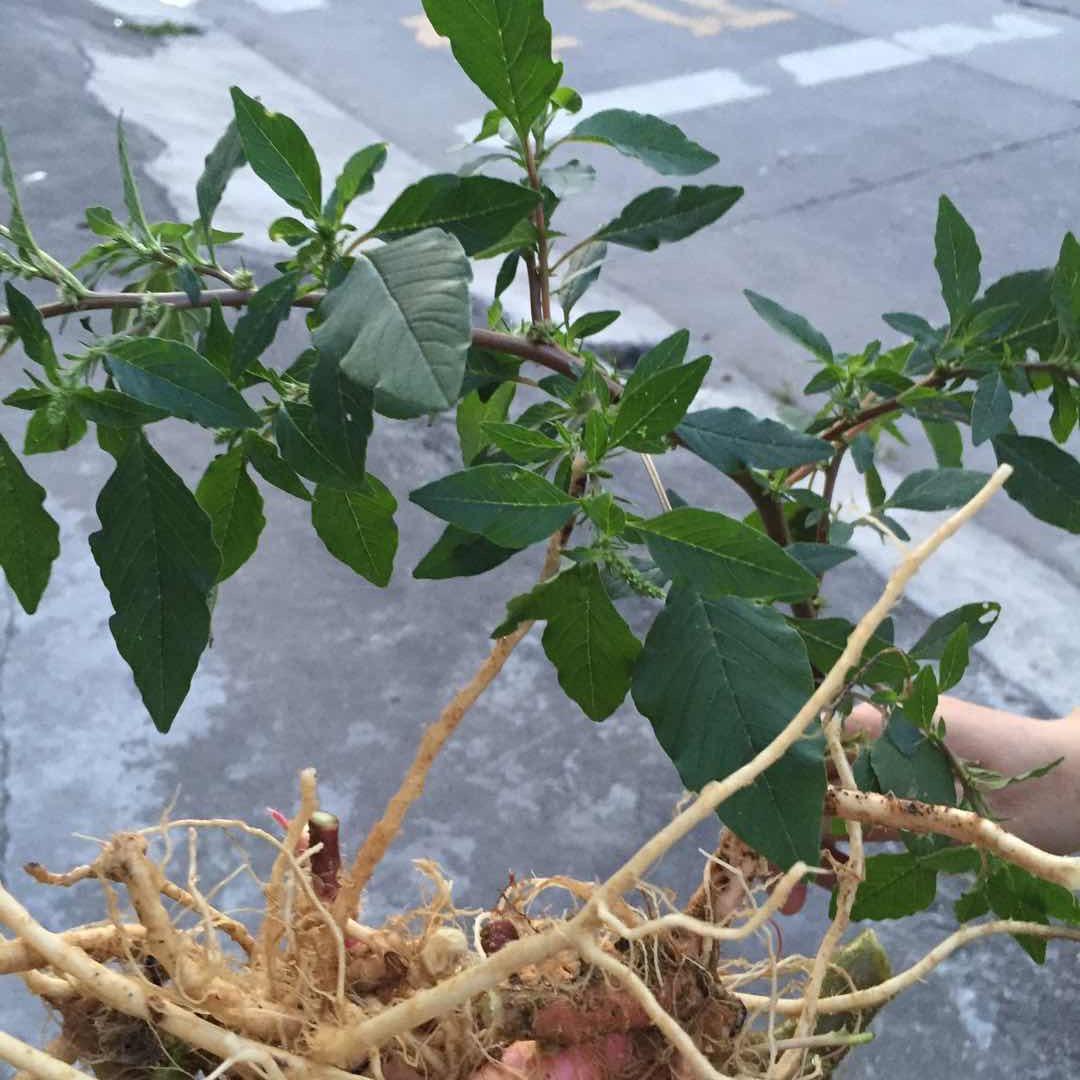 永恒不变的