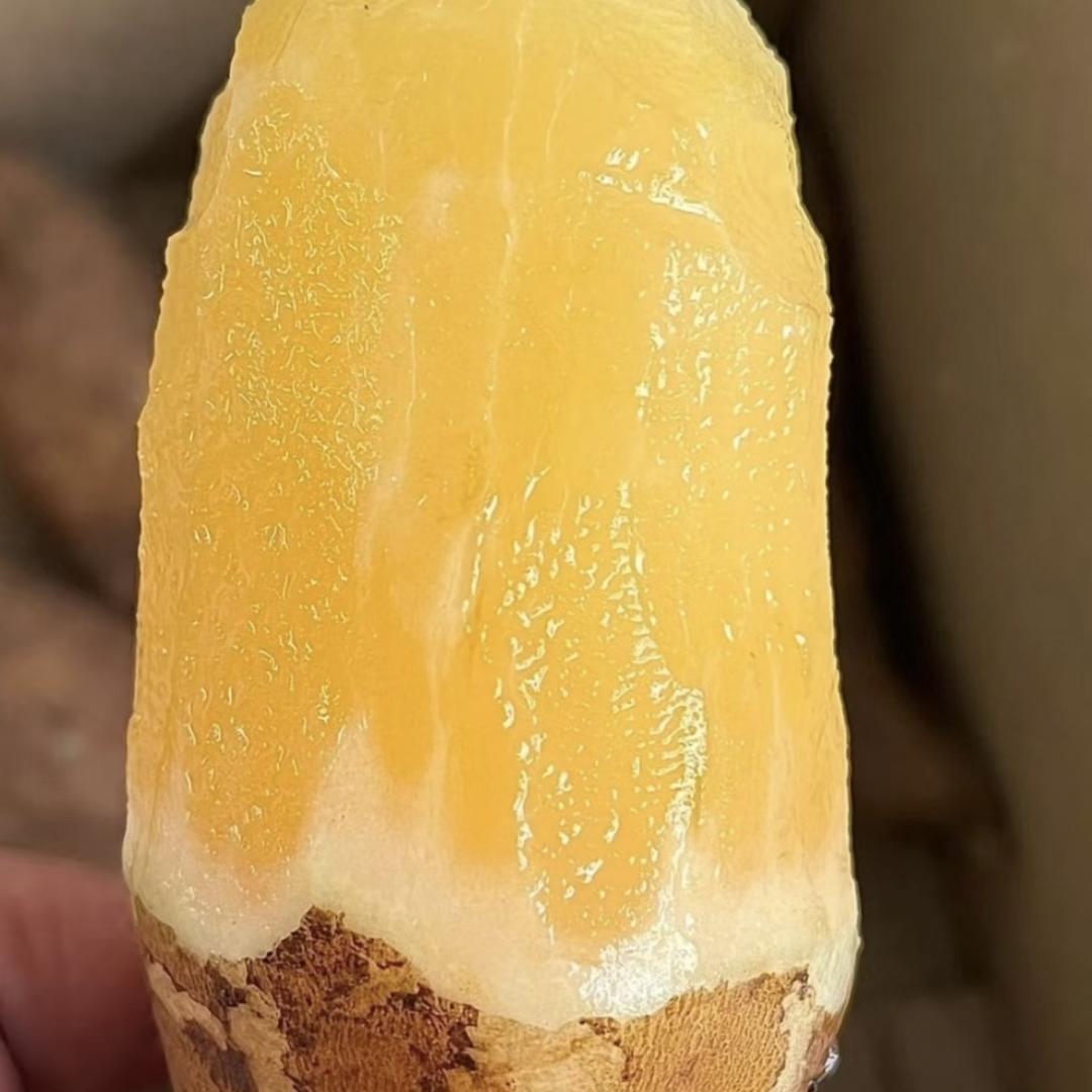 贵合云南高山雪莲果