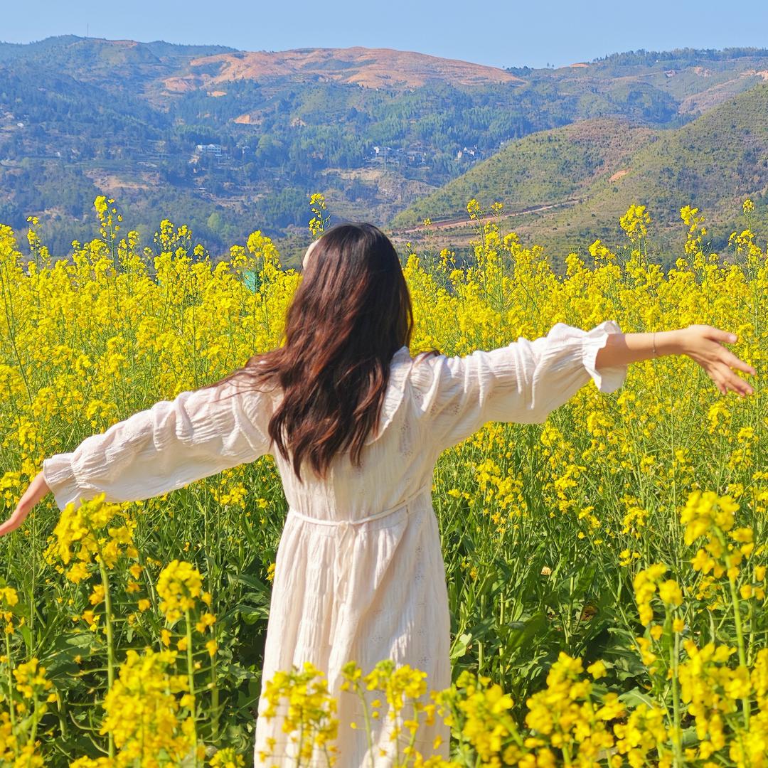 ✨星星（福鼎版）