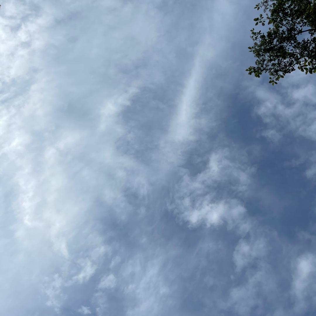 高尔夫球车制动器总成 陈丽洁