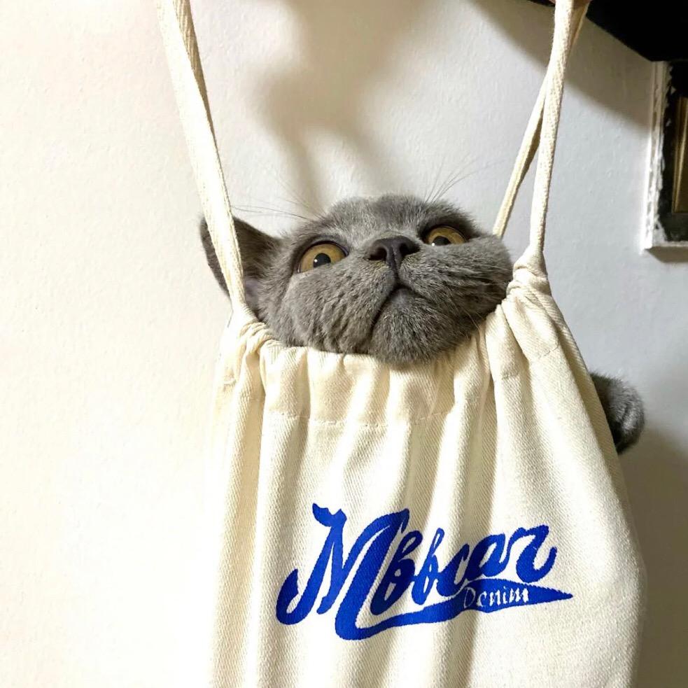 元气少女谢广坤