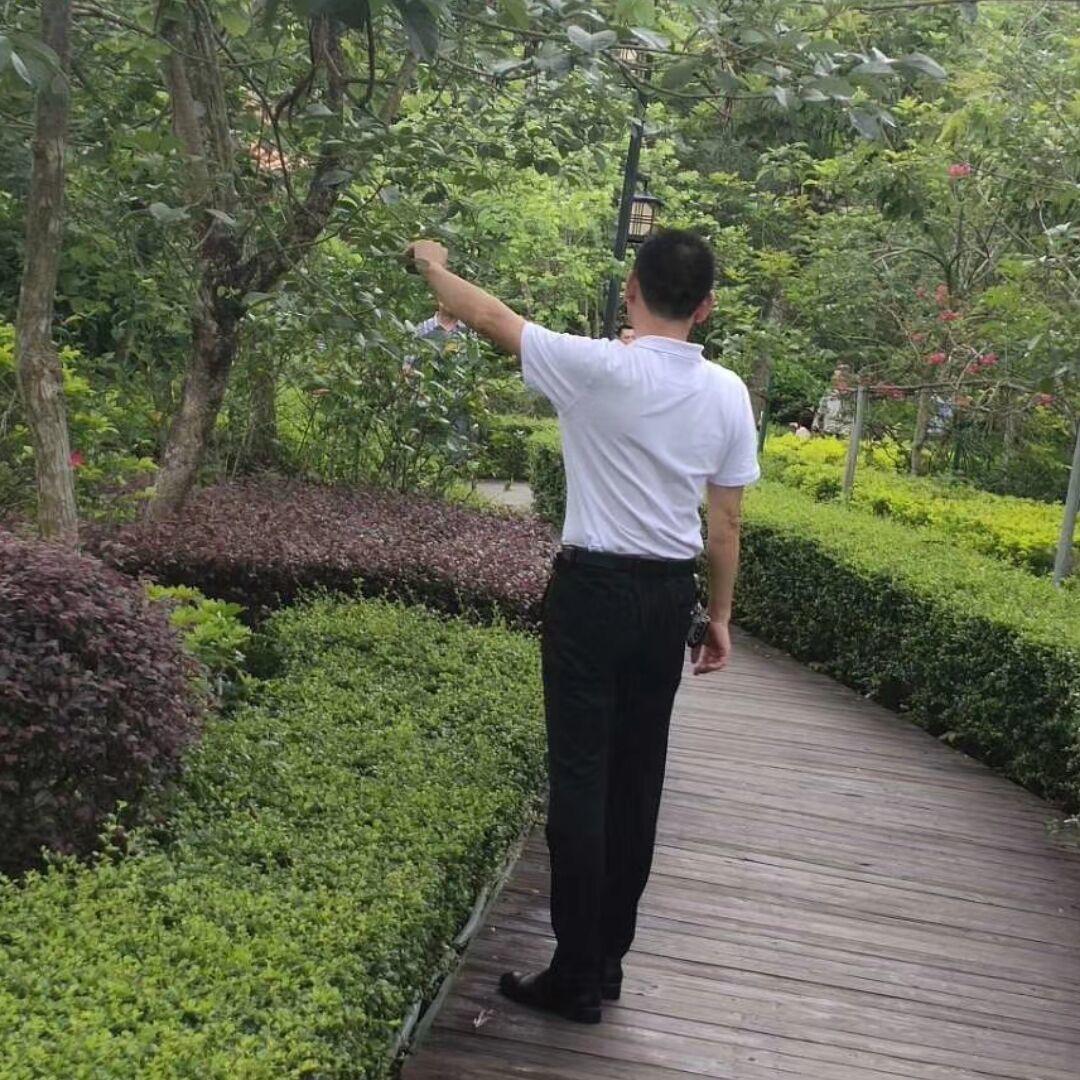 湘之鹰