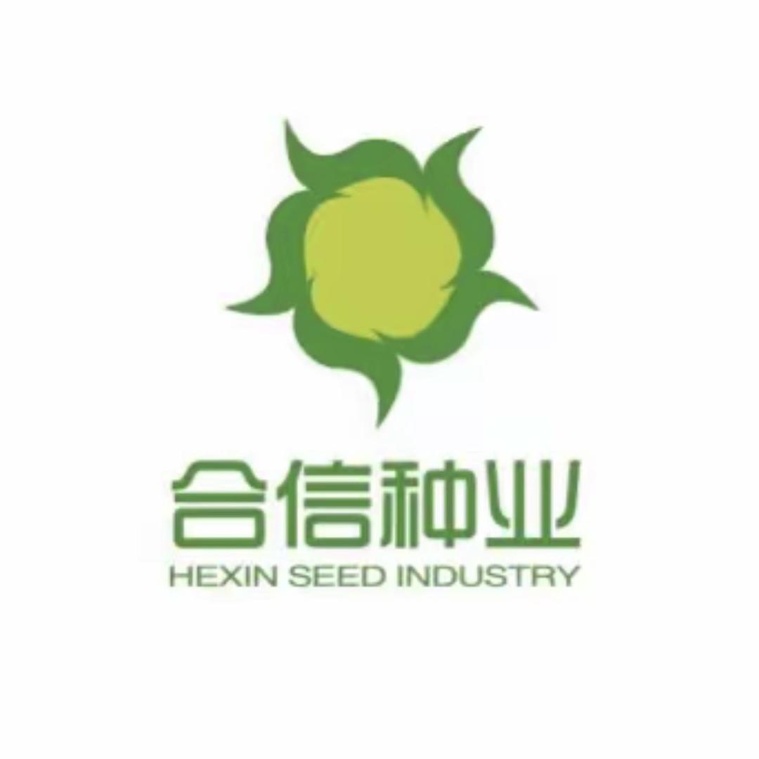 合信新疆