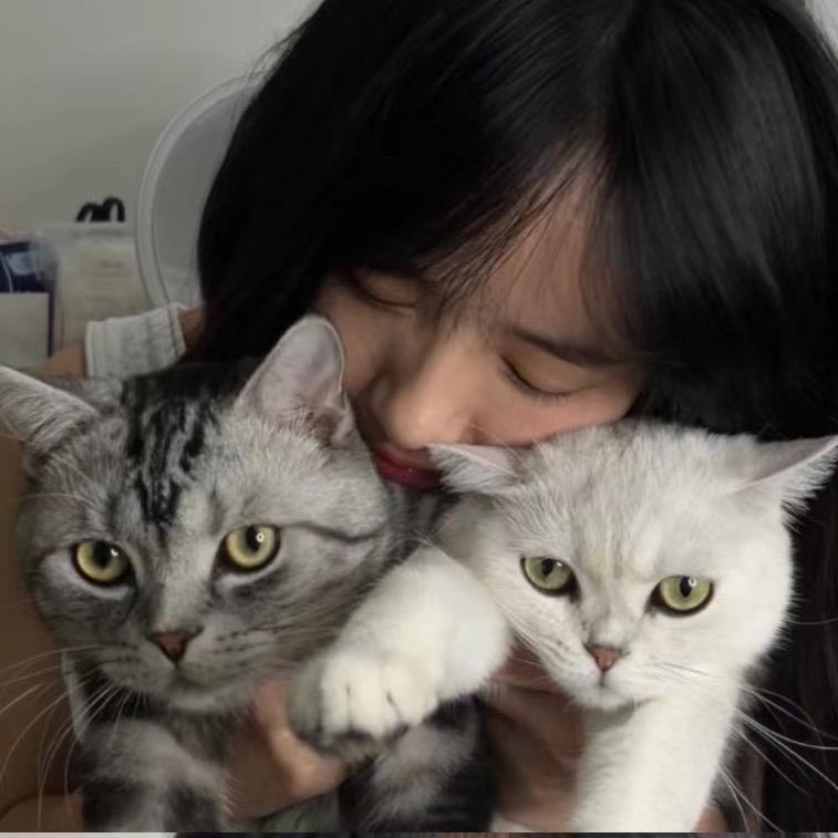 着急是只小猫咪