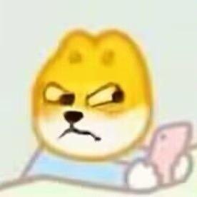 老实人