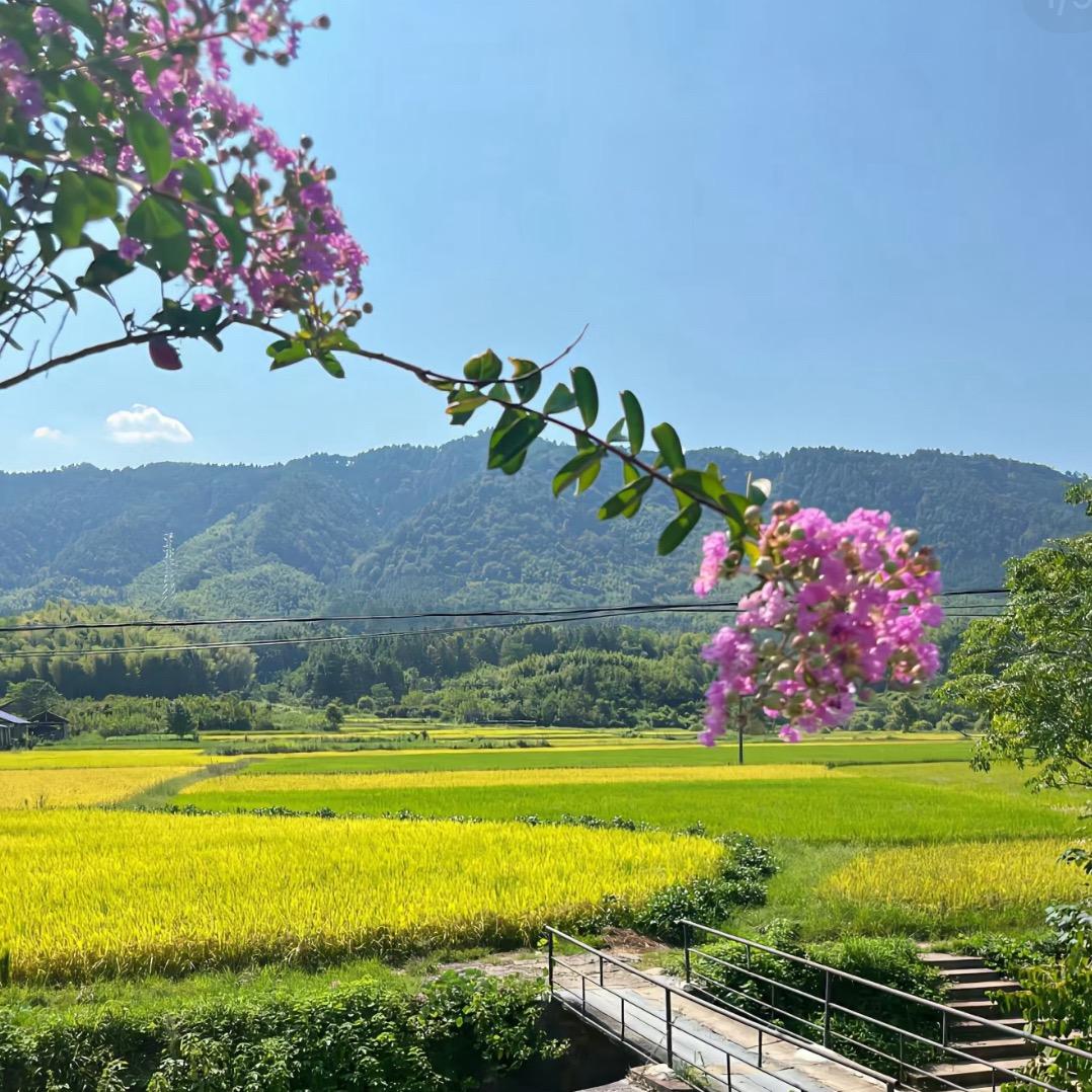 小珠吖