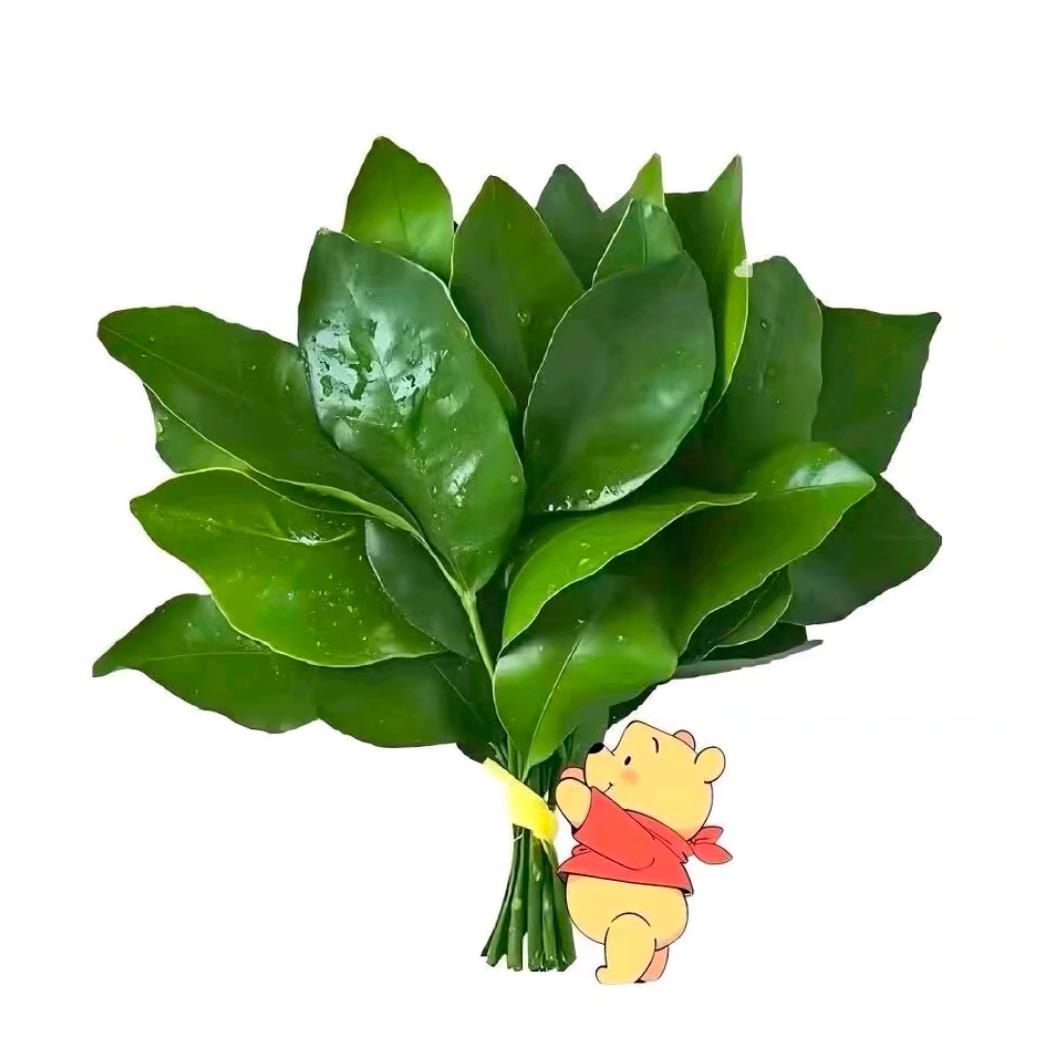 小怡宝.