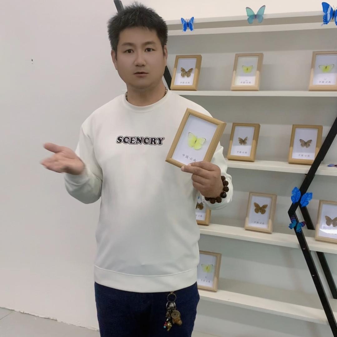 月辉哥带你看南阳