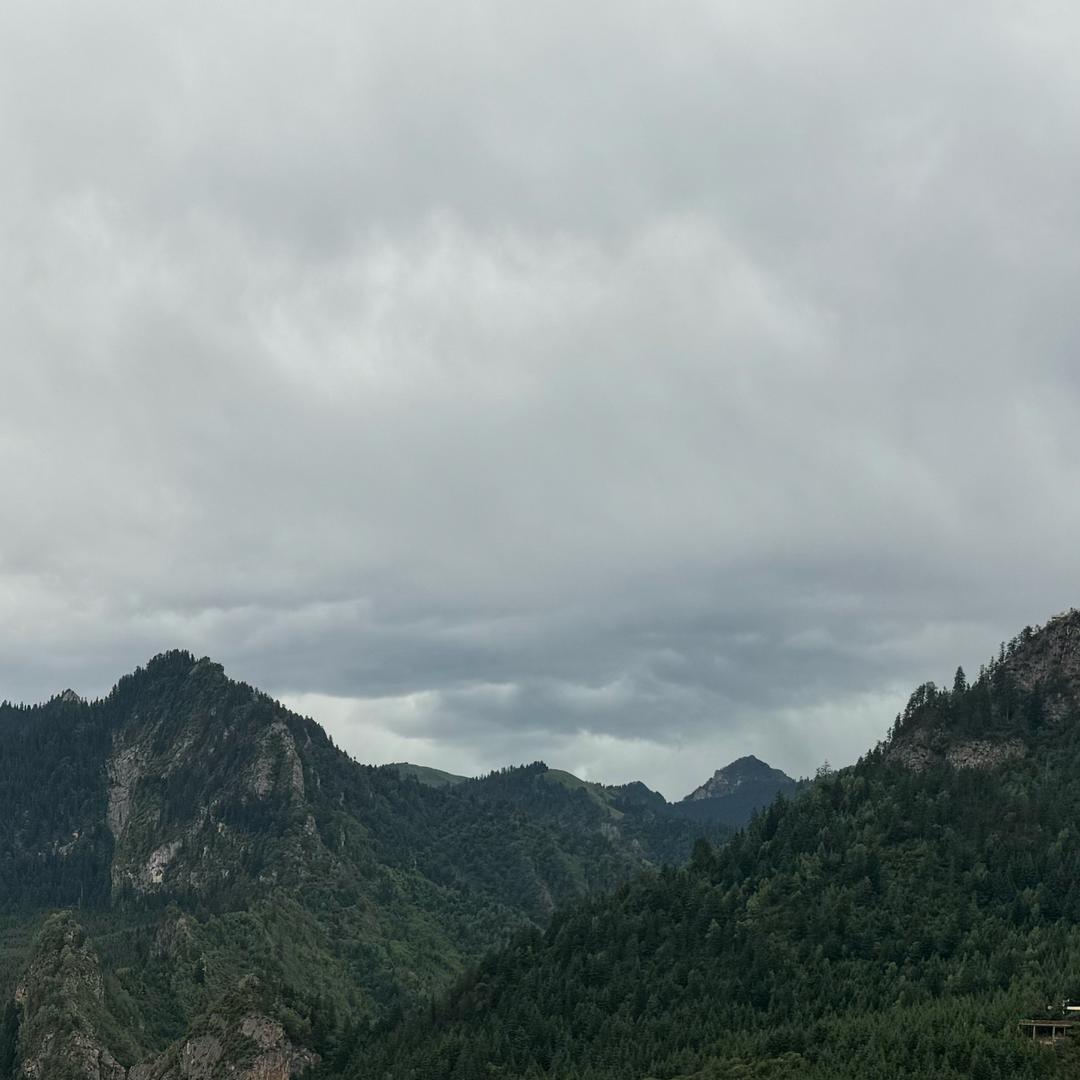 刘少轩
