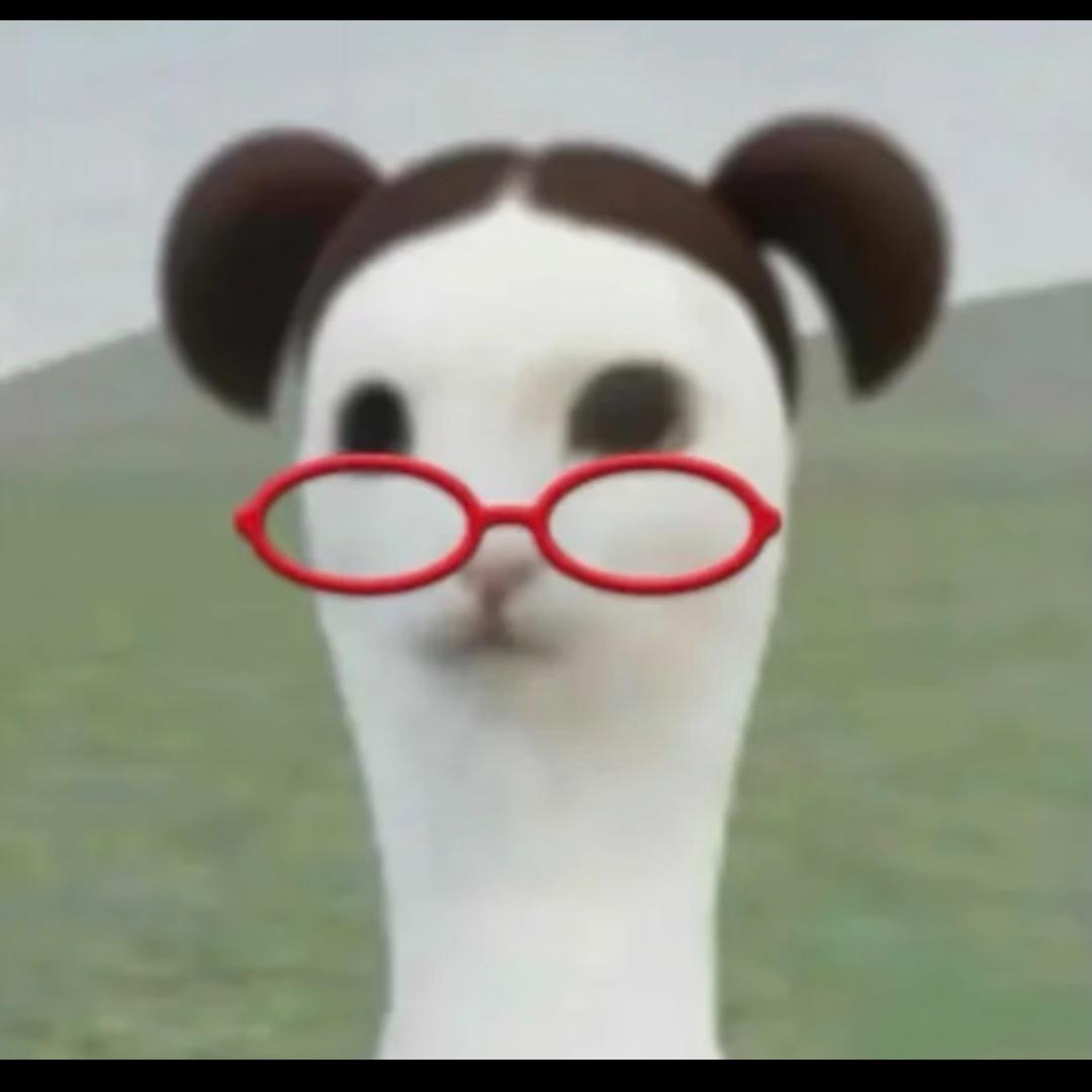叫我阳阳
