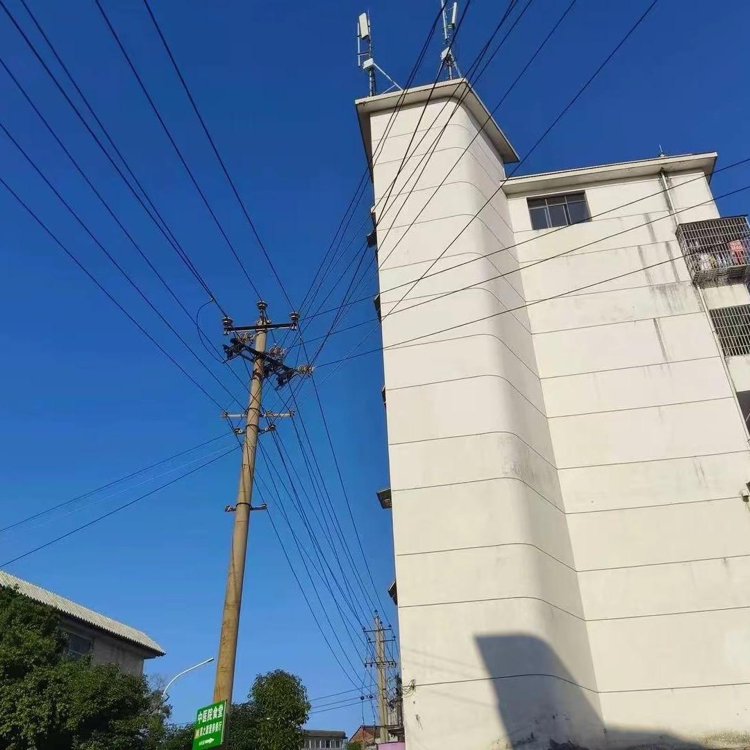 飞过绝望