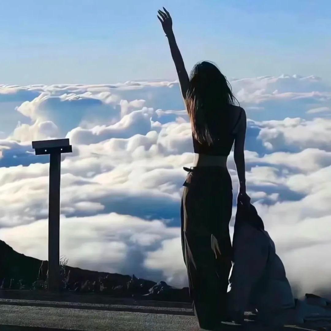 难搞马宁（努力版）