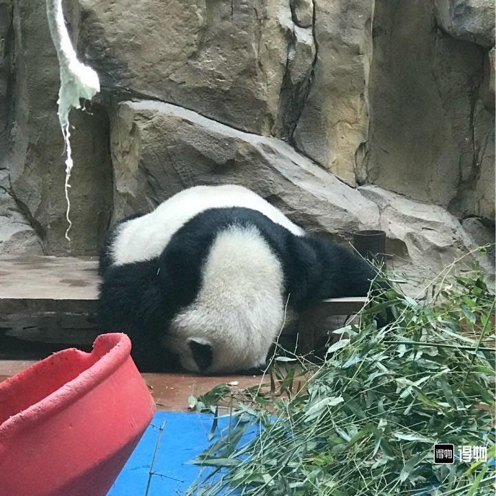 欢迎你