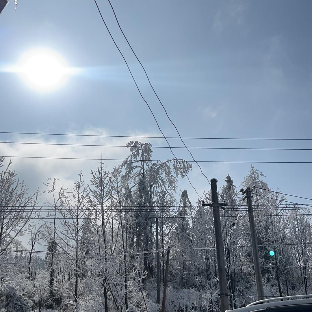 户外科普只拍摄不抓捕