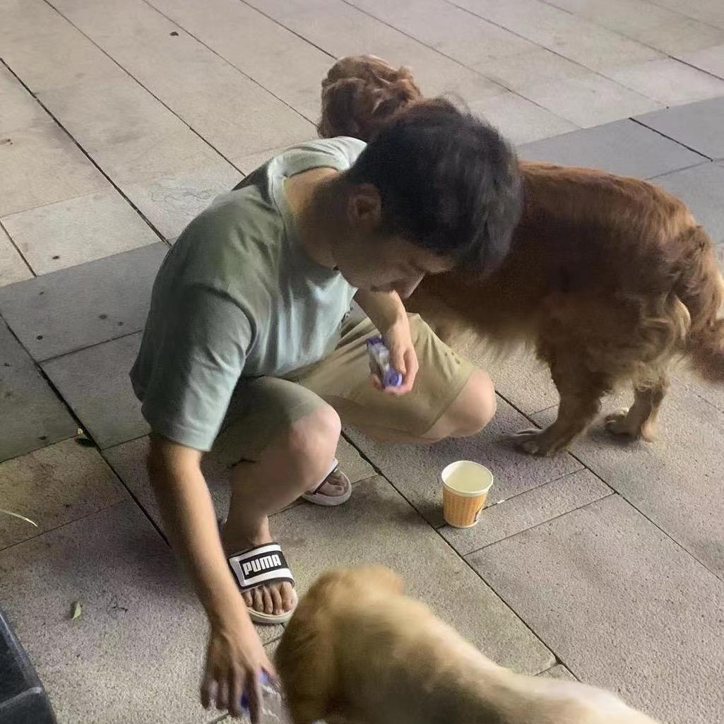 青岛未来龟一代(回收高价值龟)