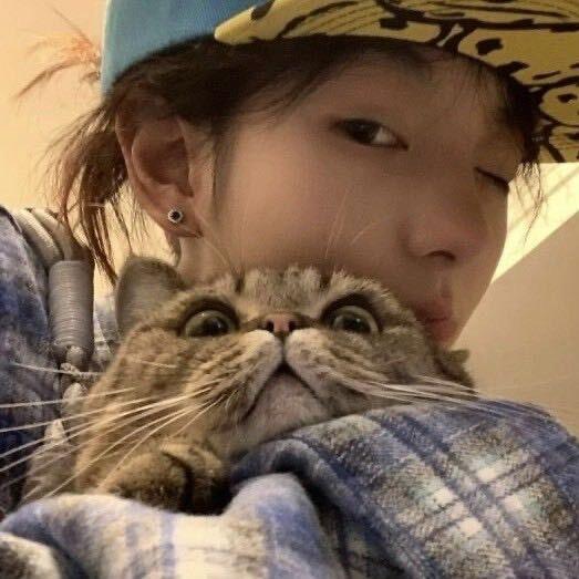 呼噜镜