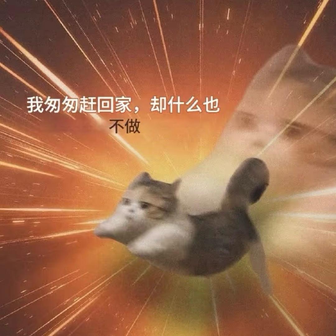狡猾的qq肠