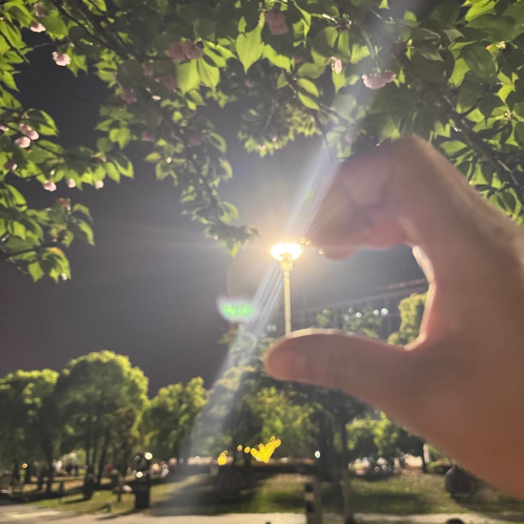 💋～格式化💤