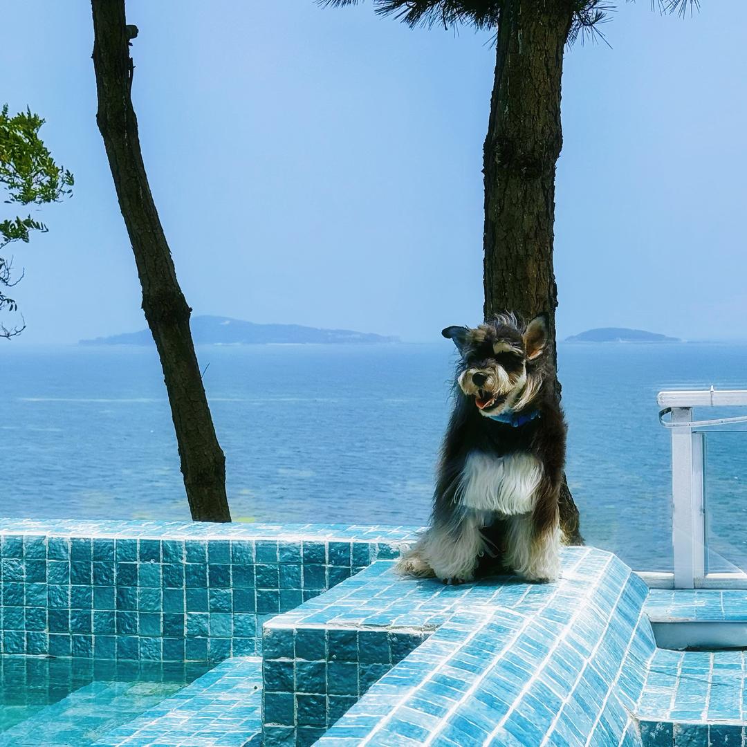 挽浪