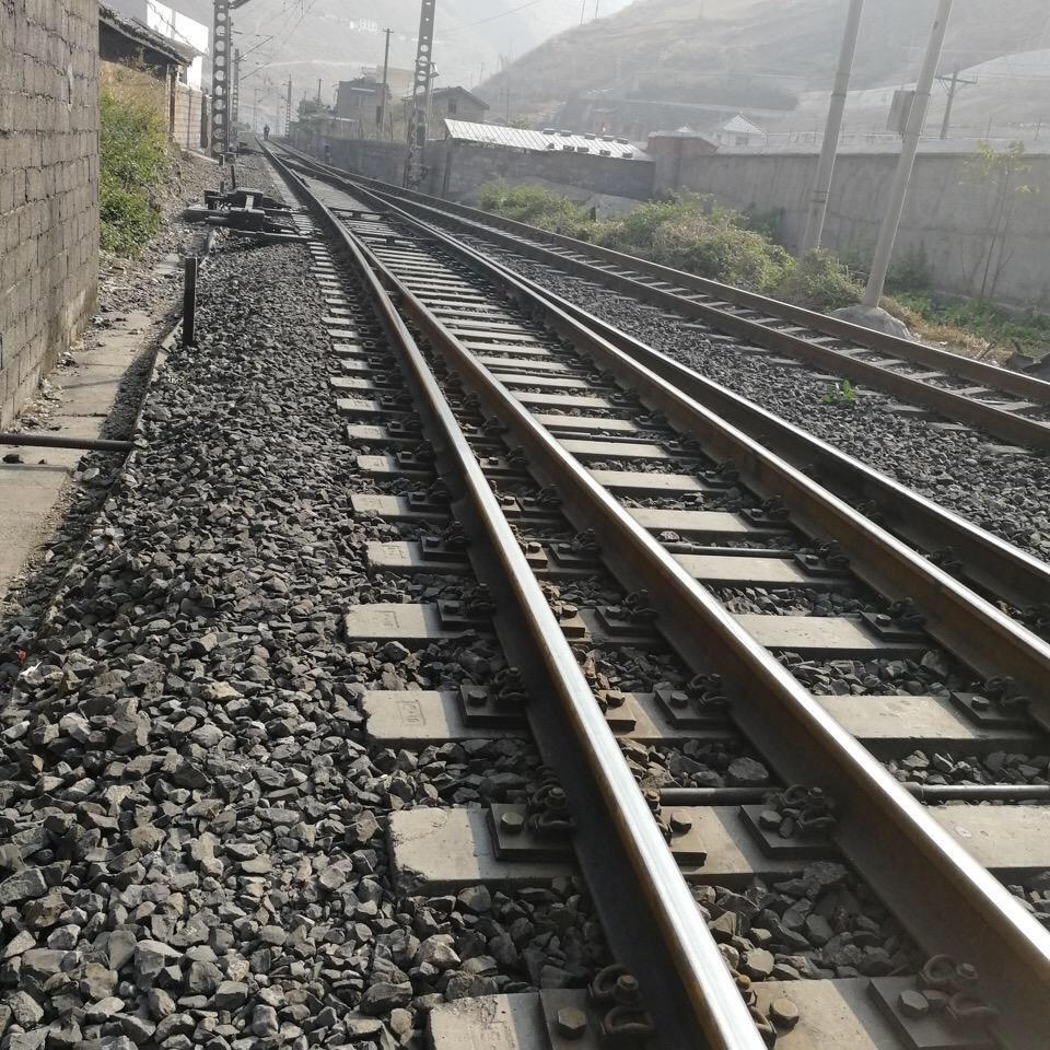 逆水寒木