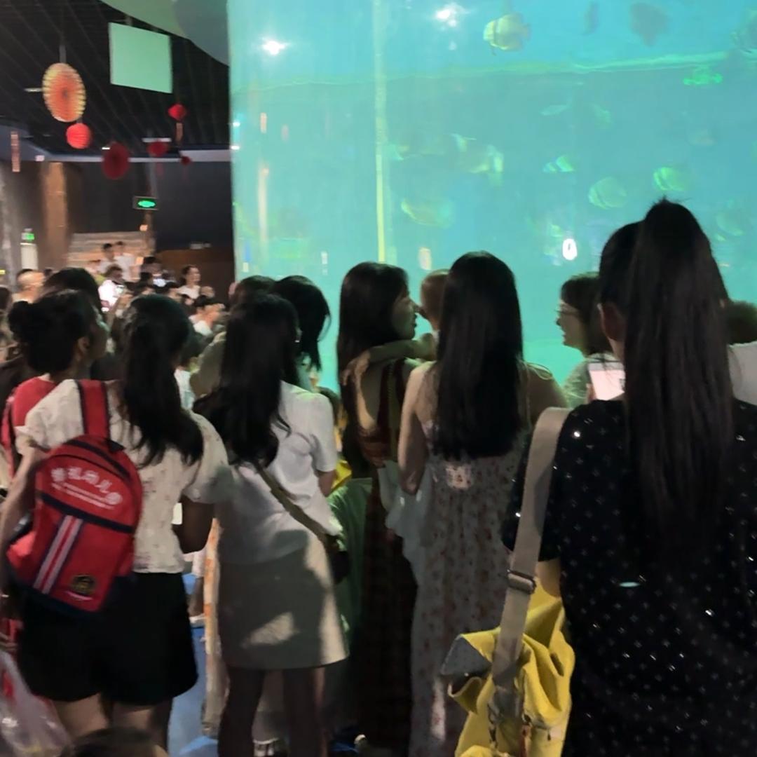 欣欣随拍