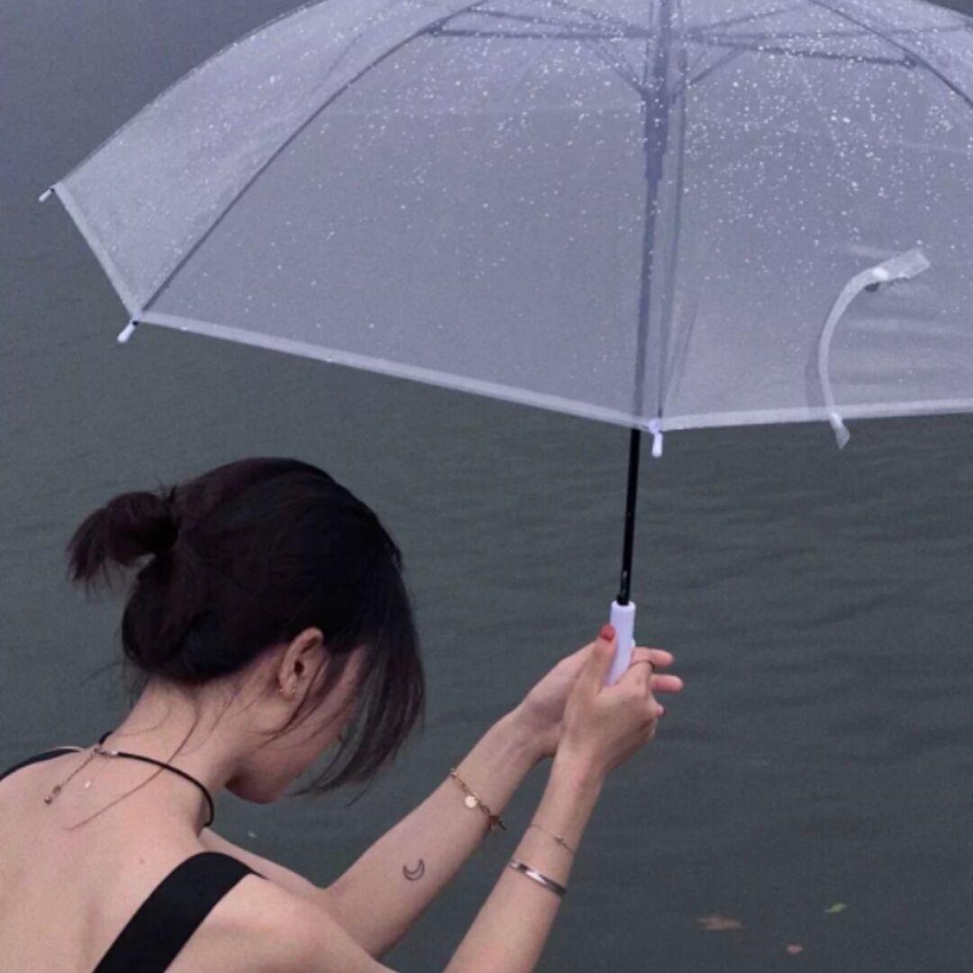 池蒽