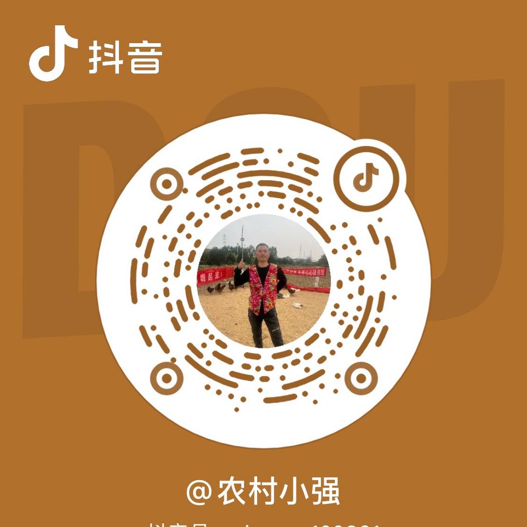 农村小强