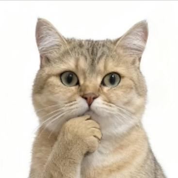 古德🐿️猫宁