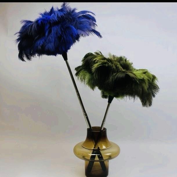 糖果的鸵鸟不秃